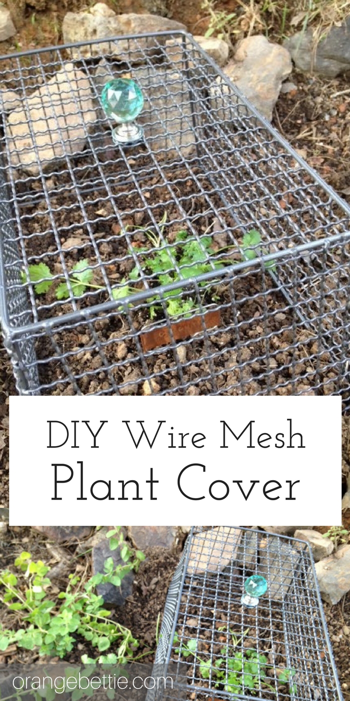 DIY Wire Mesh Plant Cover to Keep the Bunnies Out