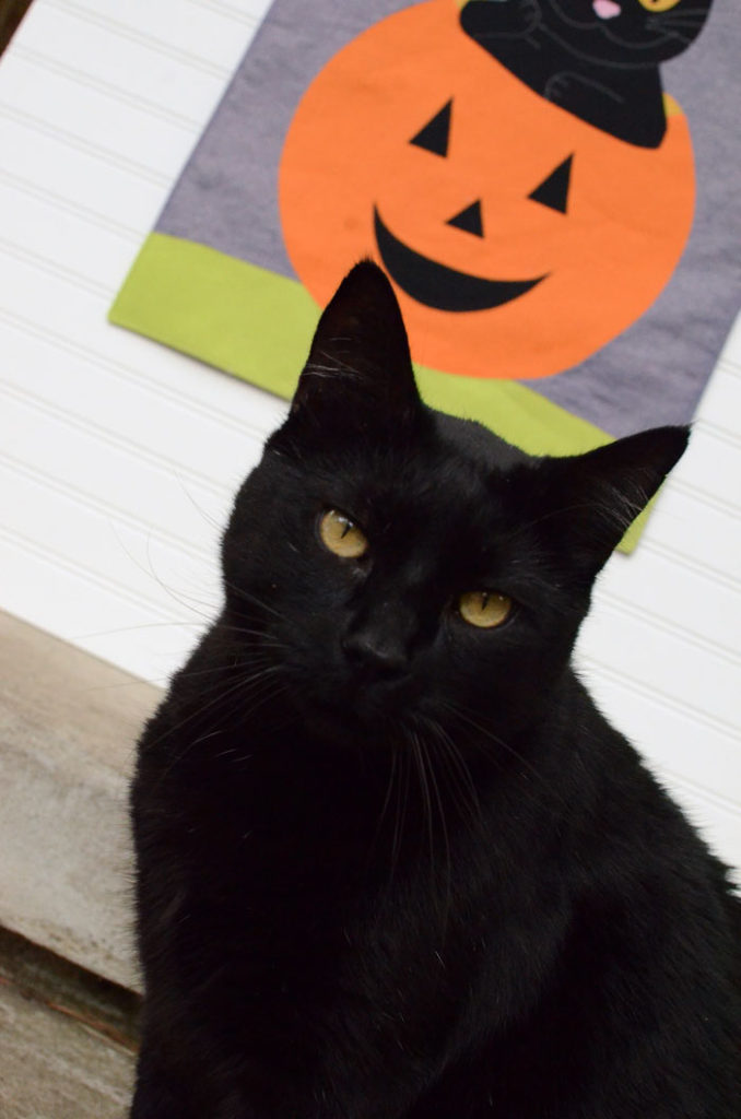 DIY Halloween Black Cat Banner - Free Sewing Pattern